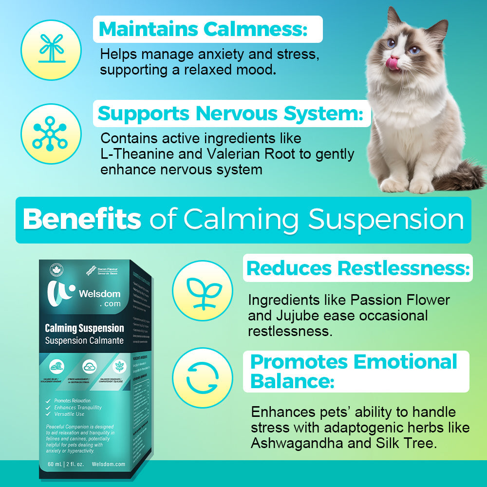 Paws & Calm! Calming Comfort Drops – 60mL
