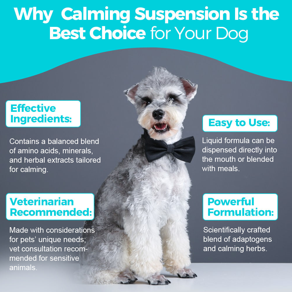 Paws & Calm! Calming Comfort Drops – 60mL