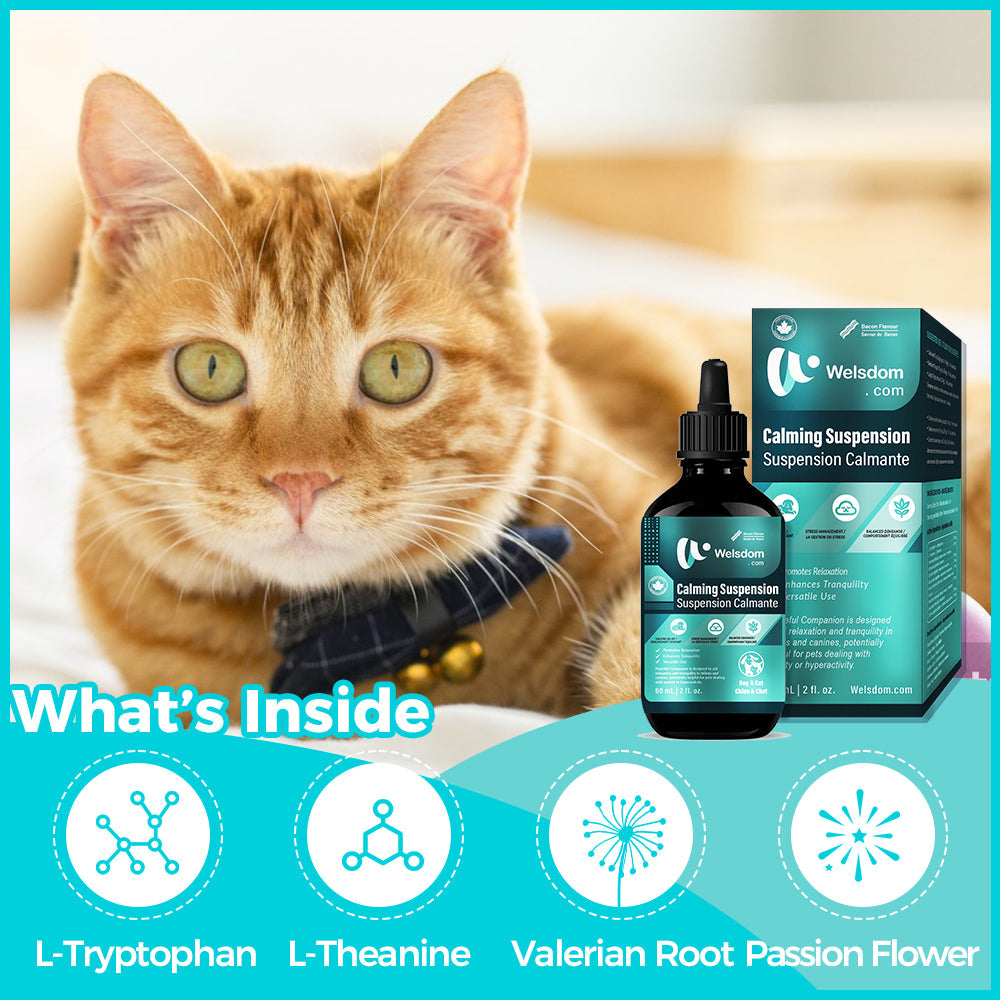 Paws & Calm! Calming Comfort Drops – 60mL