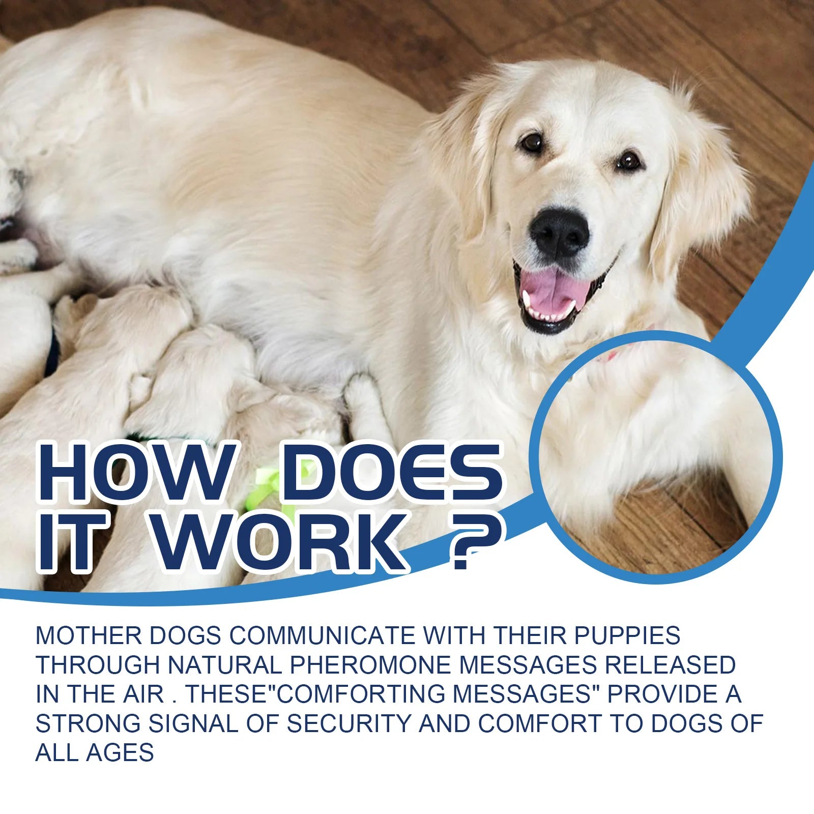 Dog Calming Liquid Noise Reduction Anti Anxiety