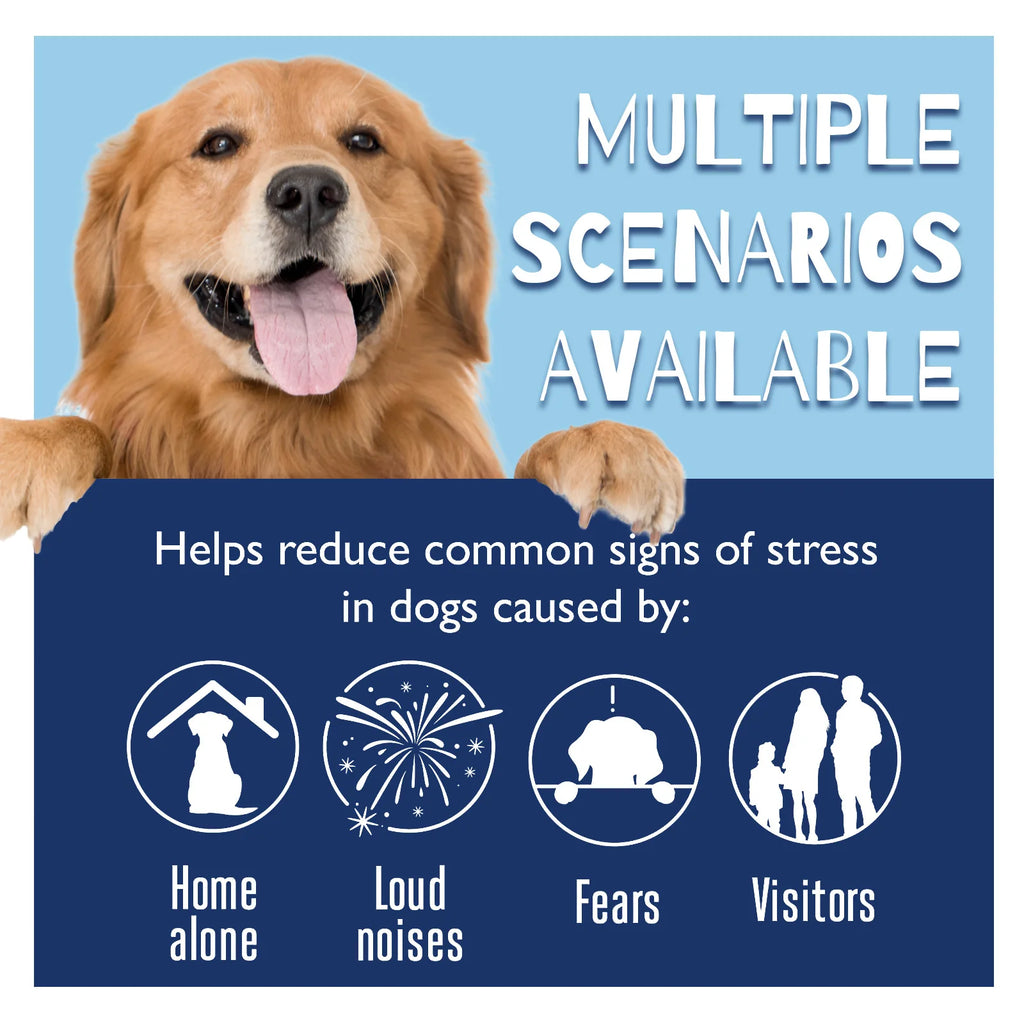 Dog Calming Liquid Noise Reduction Anti Anxiety