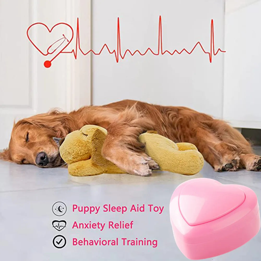 Simulated Heartbeat Module for Dog Comfort Toys