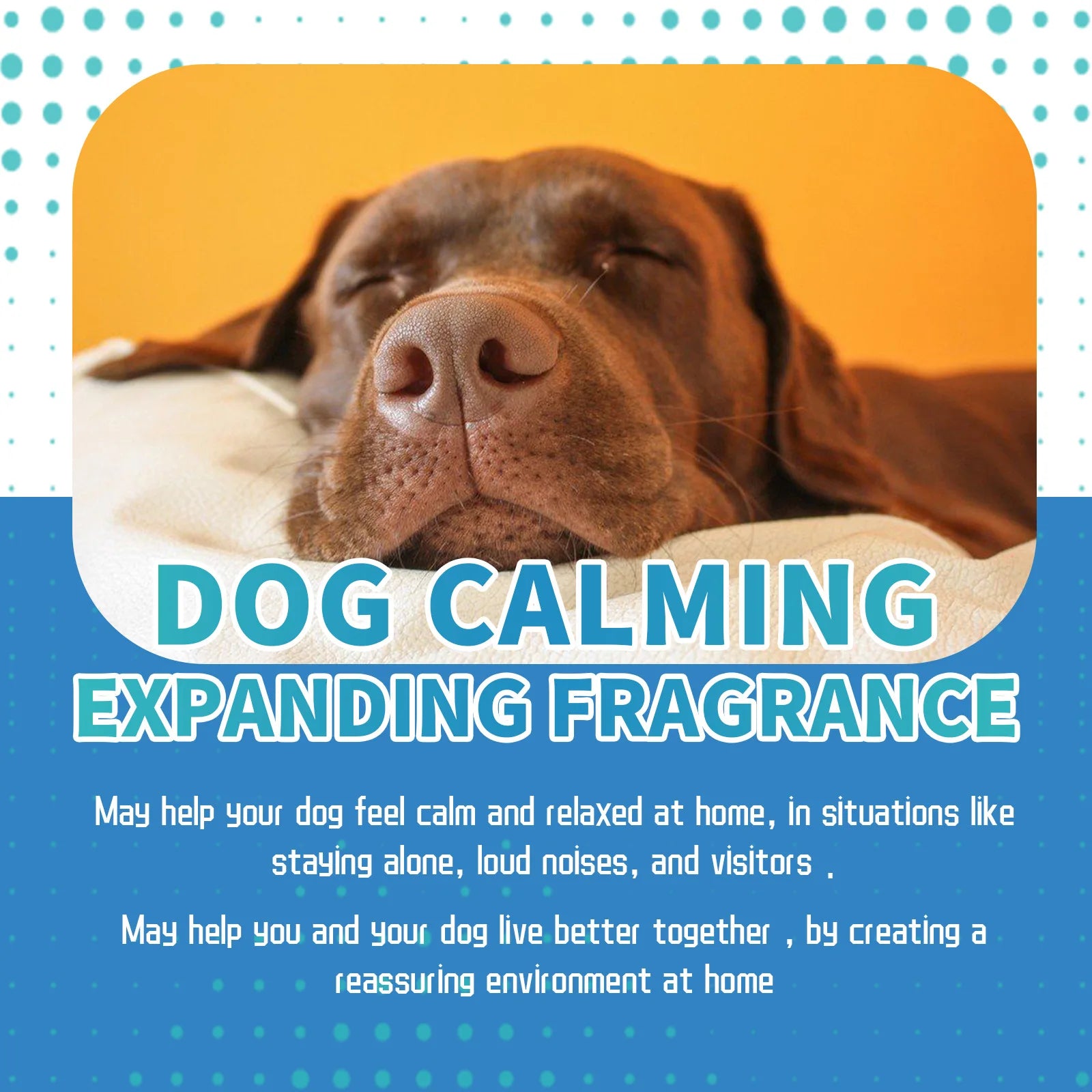 Dog Calming Liquid Noise Reduction Anti Anxiety