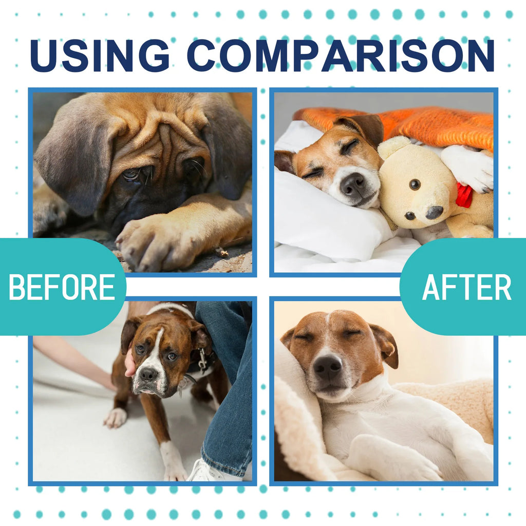 Dog Calming Liquid Noise Reduction Anti Anxiety