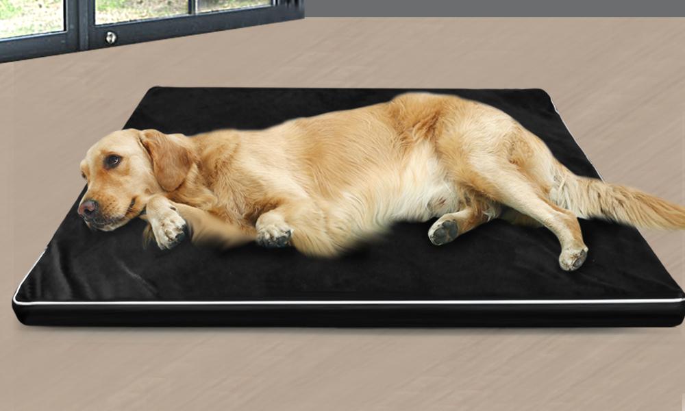 Luxury Calming Dog Bed with Comfort Pillow