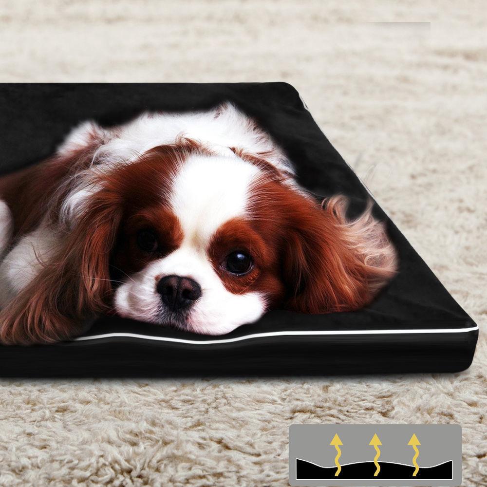 Luxury Calming Dog Bed with Comfort Pillow