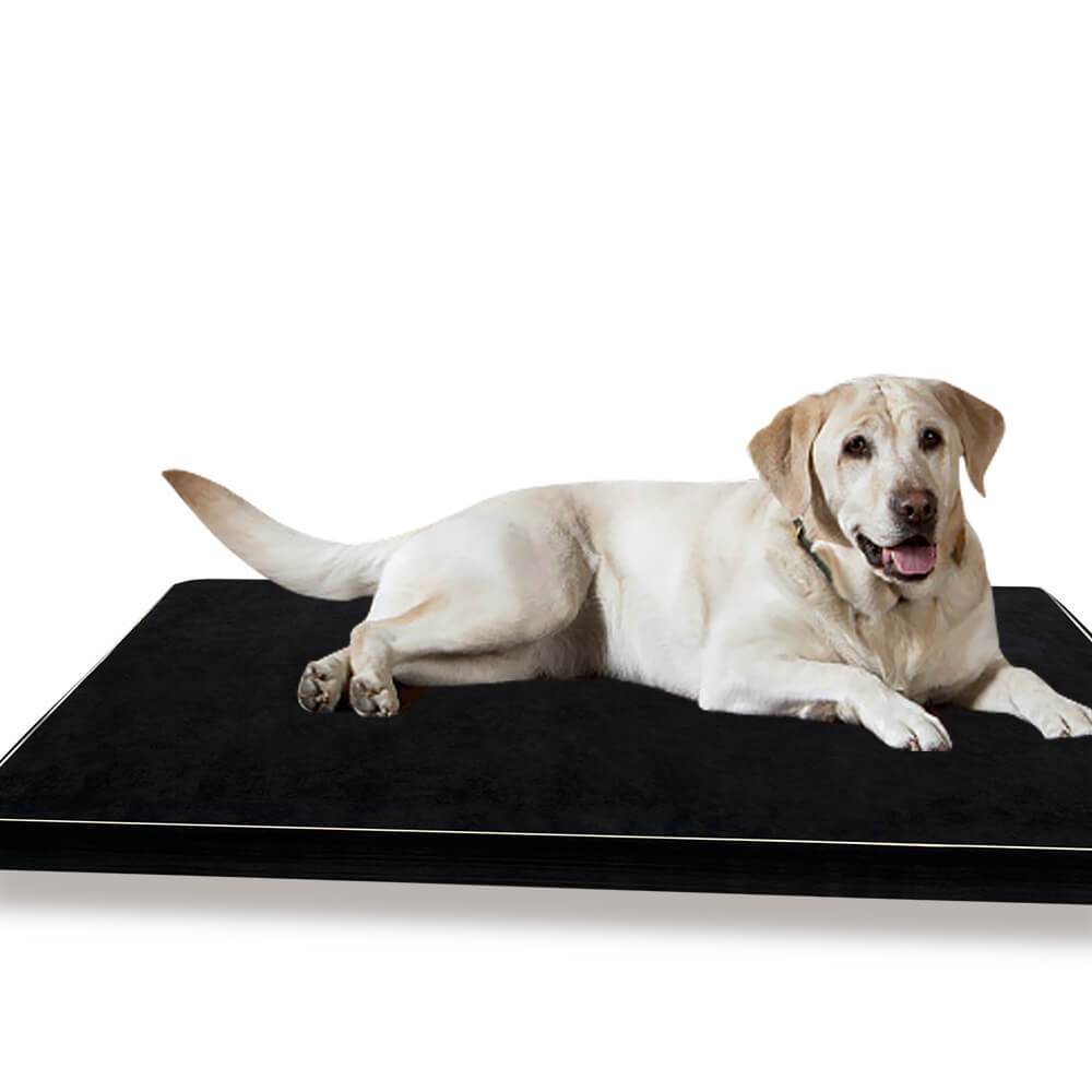 Luxury Calming Dog Bed with Comfort Pillow